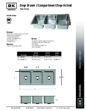 bk-resources-ddi3-162012224-p-g-sink-drop-in-specsheet-25081310n5m1.pdf
